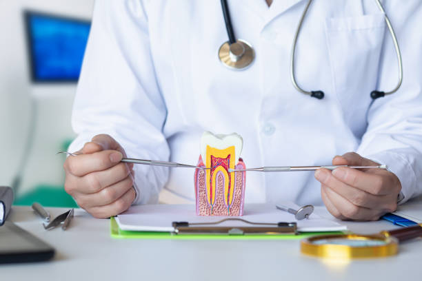 Best Emergency Dentist for Lost Fillings or Crowns in Batesville, MS